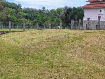 Terreno / Lote para Venda em Bento Gonçalves/RS Tuiuty Distrito