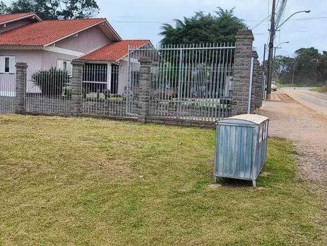 Terreno / Lote para Venda em Bento Gonçalves/RS Tuiuty Distrito
