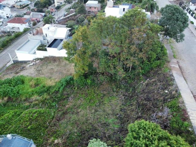 Terreno / Lote para Venda em Bento Gonçalves/RS Universitário