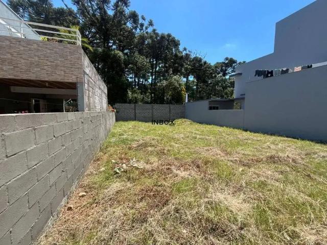 Terreno / Lote para Venda em Bento Gonçalves/RS Universitário