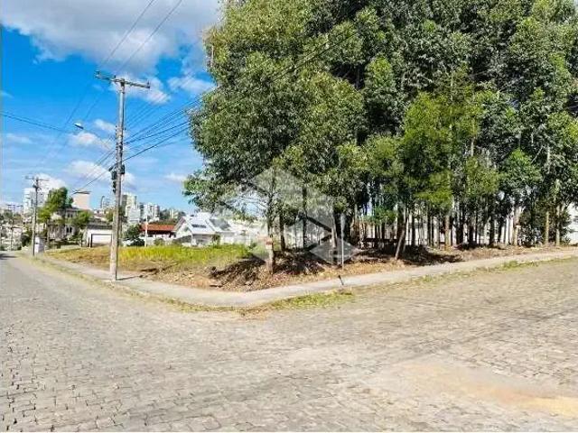 Terreno / Lote para Venda em Bento Gonçalves/RS Universitário
