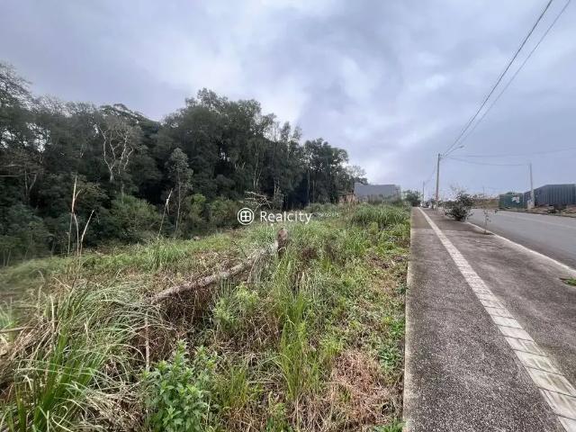 Terreno / Lote para Venda em Bento Gonçalves/RS Universitário