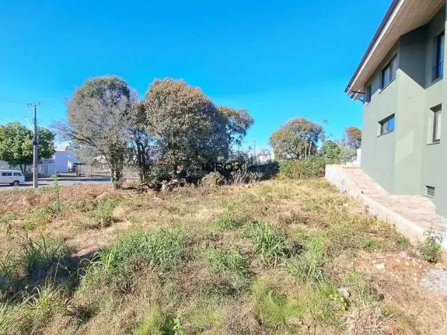 Terreno / Lote para Venda em Bento Gonçalves/RS Universitário