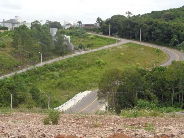 Terreno / Lote para Venda em Bento Gonçalves/RS Universitário