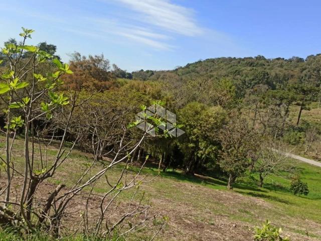 Terreno / Lote para Venda em Bento Gonçalves/RS Vale dos Vinhedos Distrito