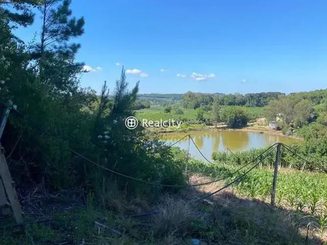 Terreno / Lote para Venda em Bento Gonçalves/RS Vale dos Vinhedos Distrito
