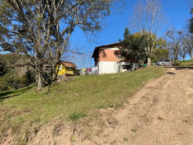 Terreno / Lote para Venda em Bento Gonçalves/RS Vale dos Vinhedos Distrito