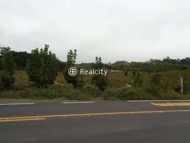 Terreno / Lote para Venda em Bento Gonçalves/RS Vale dos Vinhedos Distrito