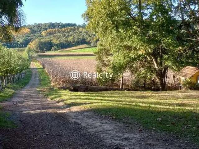Terreno / Lote para Venda em Bento Gonçalves/RS Vale dos Vinhedos Distrito