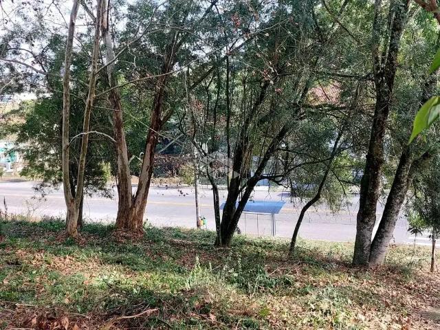 Terreno / Lote para Venda em Bento Gonçalves/RS Verona