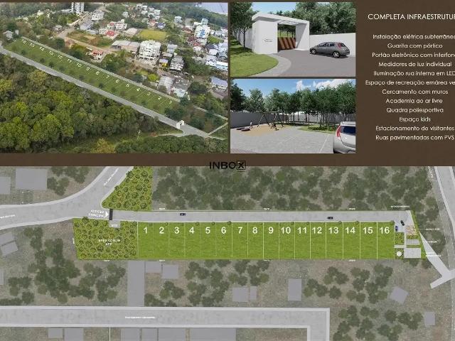 Terreno / Lote para Venda em Bento Gonçalves/RS Verona