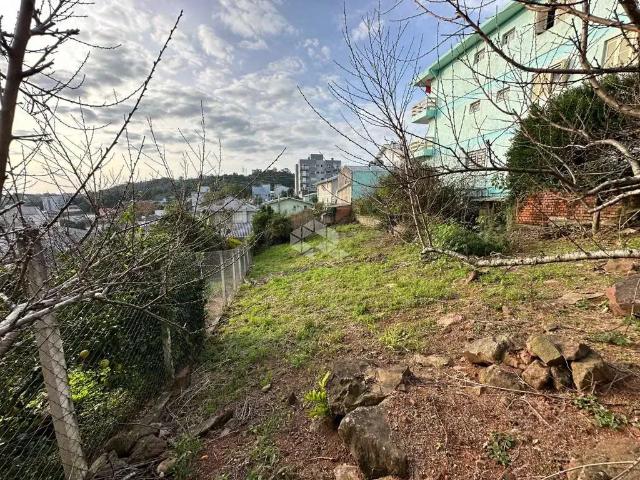 Terreno / Lote para Venda em Bento Gonçalves/RS Verona
