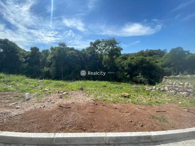 Terreno / Lote para Venda em Bento Gonçalves/RS Verona