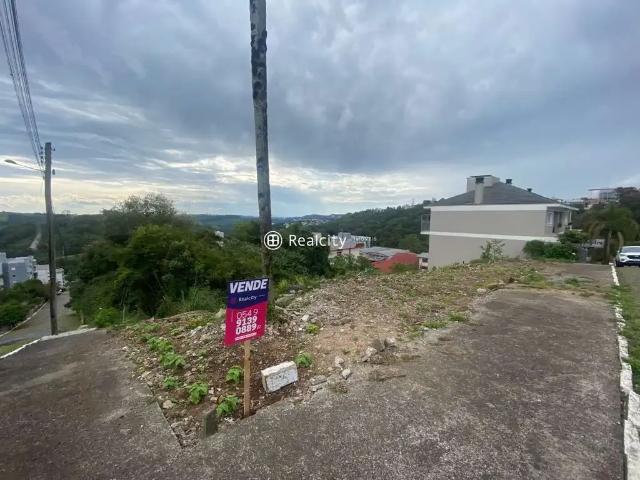 Terreno / Lote para Venda em Bento Gonçalves/RS Verona