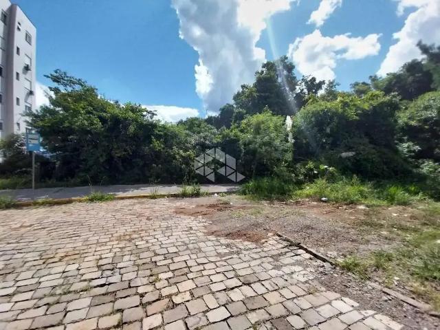 Terreno / Lote para Venda em Bento Gonçalves/RS Vinhedos