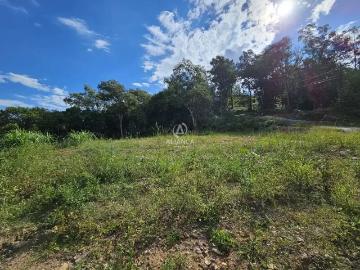 Terreno / Lote para Venda em Bento Gonçalves/RS Vila Nova