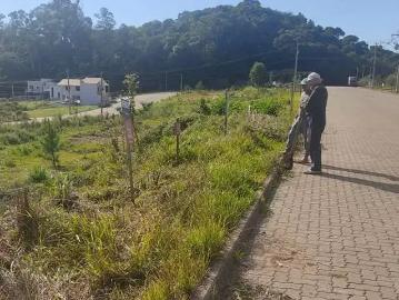 Terreno / Lote para Venda em Bento Gonçalves/RS Vila Nova II