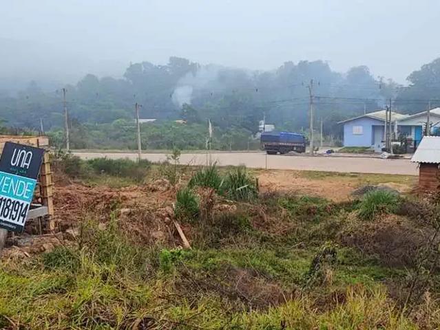 Terreno / Lote para Venda em Bento Gonçalves/RS Vila Nova II