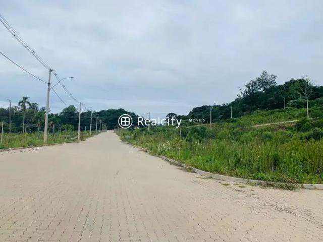 Terreno / Lote para Venda em Bento Gonçalves/RS Vila Nova II