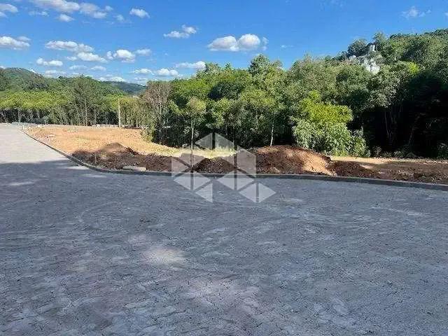 Terreno / Lote para Venda em Bento Gonçalves/RS Vila Nova II