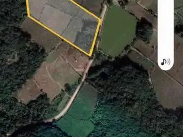 Terreno / Lote para Venda em Bento Gonçalves/RS Área Rural de Bento Gonçalves
