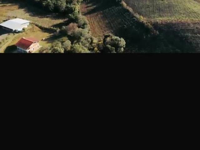 Terreno / Lote para Venda em Bento Gonçalves/RS Zona Rural