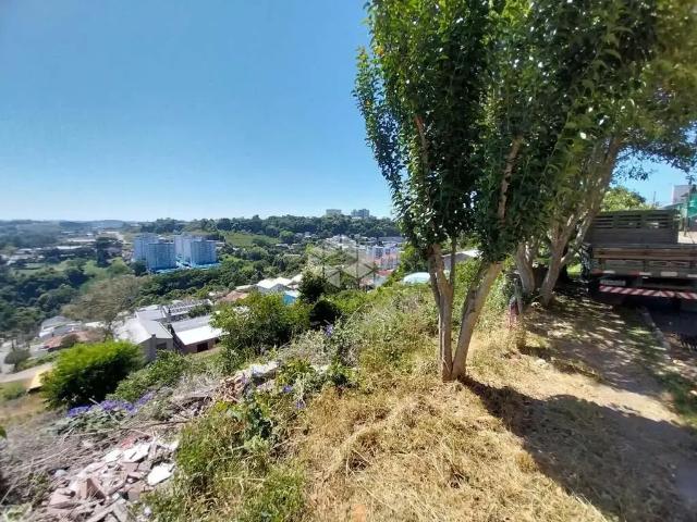 Terreno / Lote para Venda em Bento Gonçalves/RS Aparecida