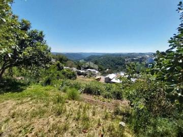 Terreno / Lote para Venda em Bento Gonçalves/RS Aparecida