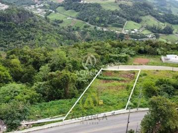 Terreno / Lote para Venda em Bento Gonçalves/RS Aparecida