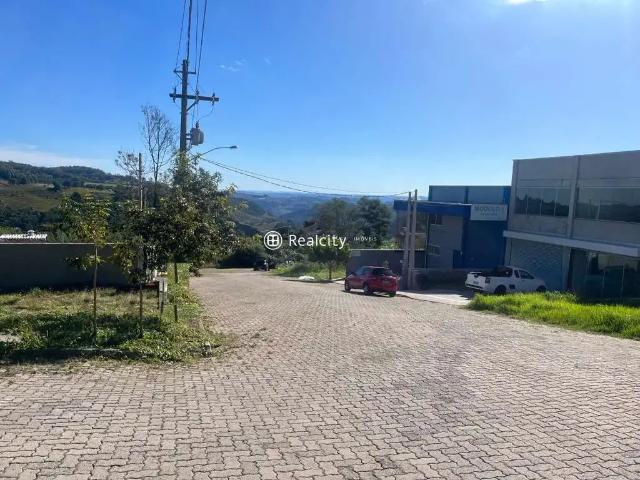 Terreno / Lote para Venda em Bento Gonçalves/RS Aparecida