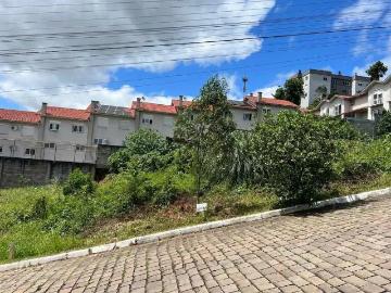 Terreno / Lote para Venda em Bento Gonçalves/RS Aparecida