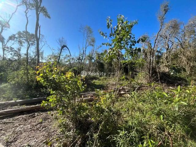 Terreno / Lote para Venda em Bento Gonçalves/RS Barracão