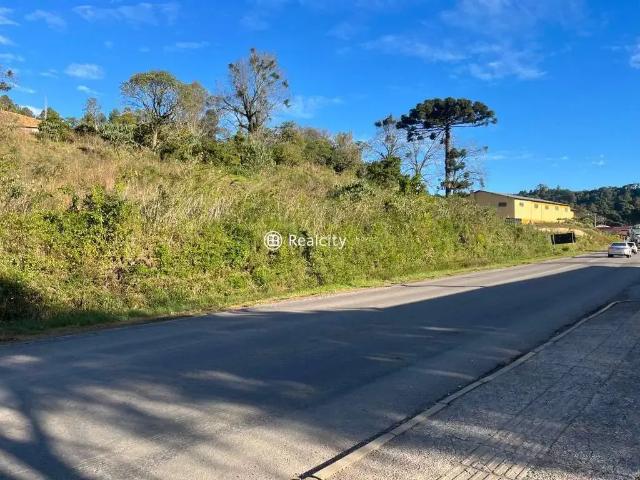 Terreno / Lote para Venda em Bento Gonçalves/RS Barracão