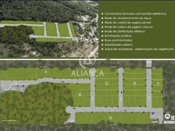 Terreno / Lote para Venda em Bento Gonçalves/RS Barracão