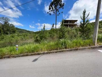 Terreno / Lote para Venda em Bento Gonçalves/RS Barracão