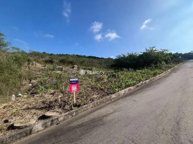 Terreno / Lote para Venda em Bento Gonçalves/RS Barracão