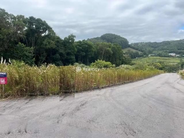 Terreno / Lote para Venda em Bento Gonçalves/RS Barracão