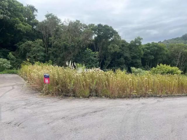 Terreno / Lote para Venda em Bento Gonçalves/RS Barracão