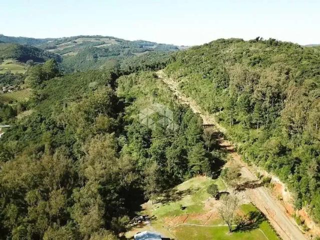Terreno / Lote para Venda em Bento Gonçalves/RS Barracão