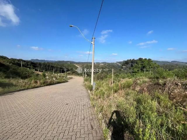 Terreno / Lote para Venda em Bento Gonçalves/RS Barracão