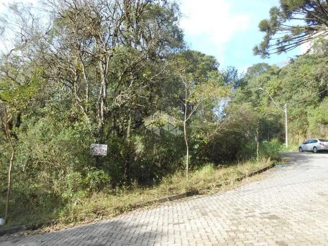 Terreno / Lote para Venda em Bento Gonçalves/RS Borgo