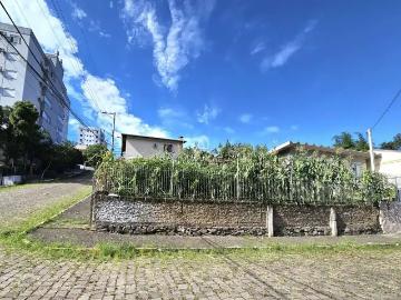 Terreno / Lote para Venda em Bento Gonçalves/RS Borgo