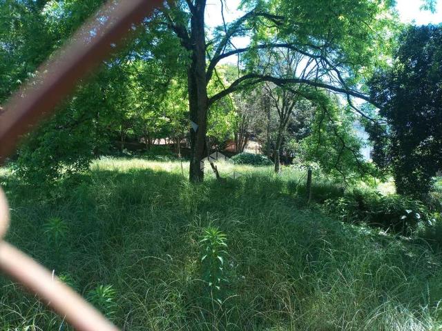 Terreno / Lote para Venda em Bento Gonçalves/RS Borgo