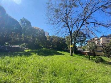 Terreno / Lote para Venda em Bento Gonçalves/RS Borgo