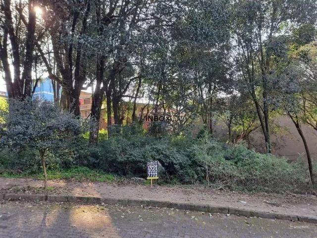 Terreno / Lote para Venda em Bento Gonçalves/RS Borgo