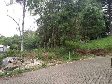 Terreno / Lote para Venda em Bento Gonçalves/RS Borgo