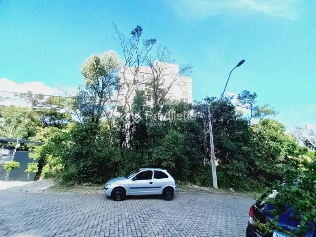 Terreno / Lote para Venda em Bento Gonçalves/RS Borgo