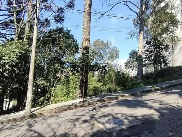 Terreno / Lote para Venda em Bento Gonçalves/RS Borgo