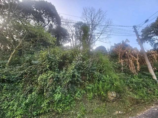 Terreno / Lote para Venda em Bento Gonçalves/RS Botafogo