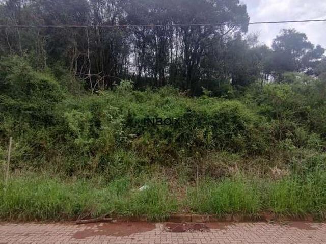 Terreno / Lote para Venda em Bento Gonçalves/RS Caminho da Eulália